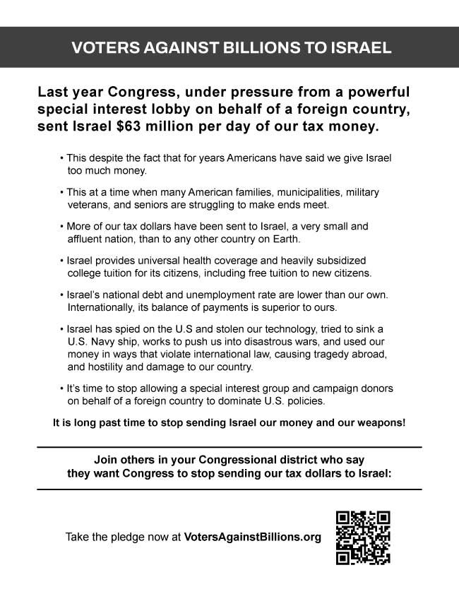 Voters Against Billions printable flyer thumbnail